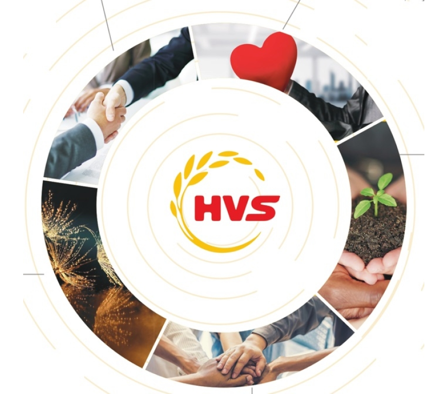hvs-logo